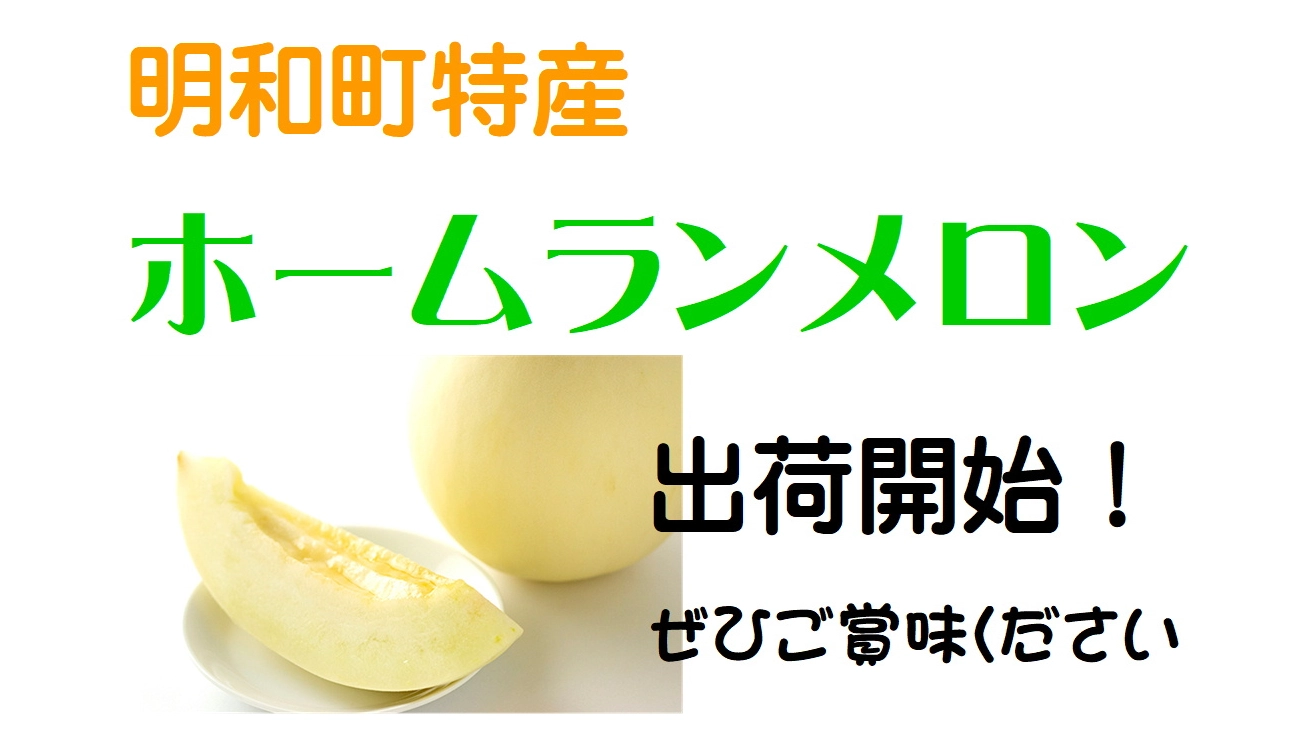 ホームランメロン出荷開始